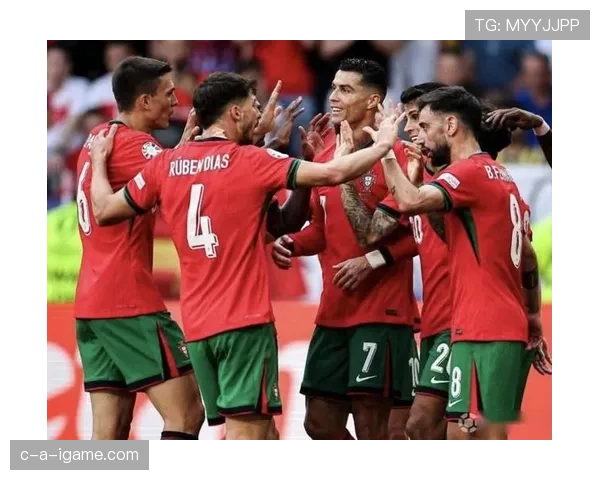 帕利尼亚巅峰期荣誉：葡萄牙体育联赛冠军主力解析