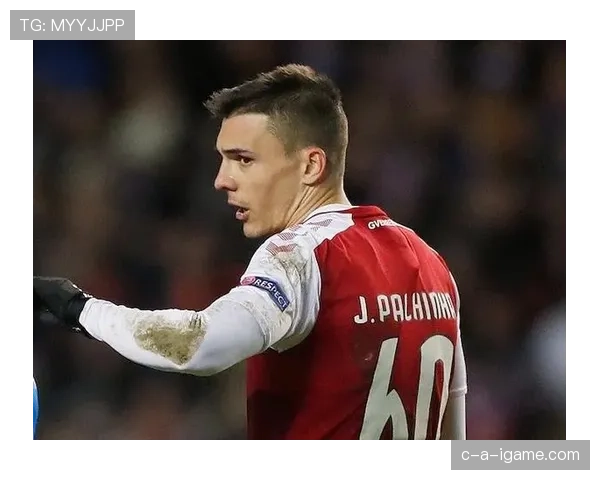 帕利尼亚抢断能力解析：中场防守核心标签拆解